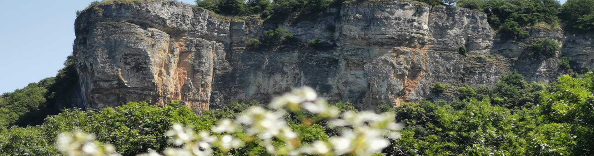 site archeologique de Larina