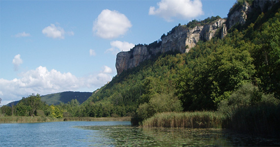 bac ordures menageres